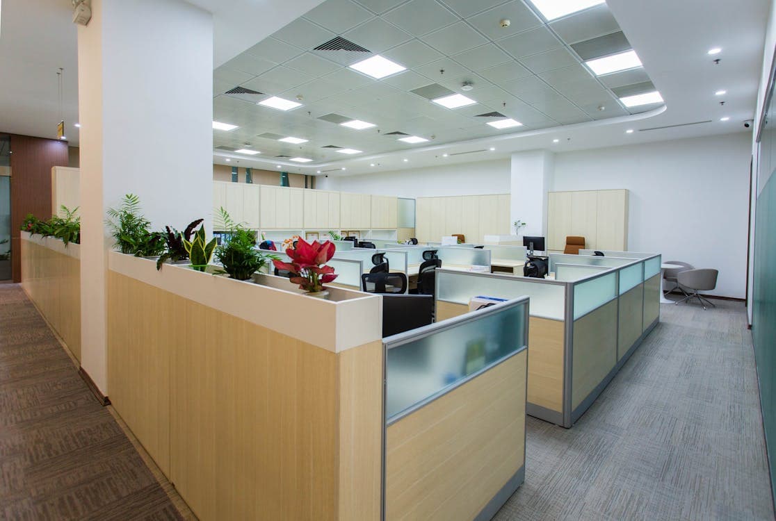 Open-plan office build-out